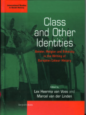 cover image of Class and Other Identities